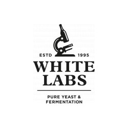 WLP500 Monastery Ale - White Labs - PurePitch™