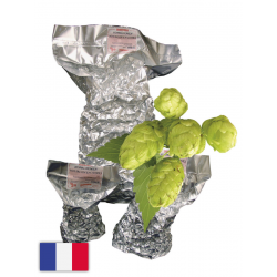 Brewers Gold bloem 5.9%...