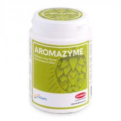 Aromazyme 100 gr Lallemand