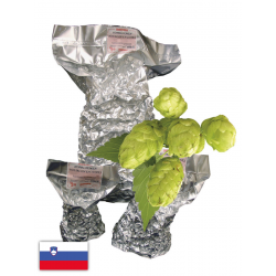 Styrian Goldings Celeia...