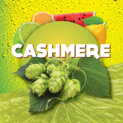 Cashmere pellet 100gr. 8.9%...