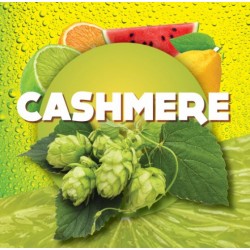 Cashmere hopkorrel 100 gr...