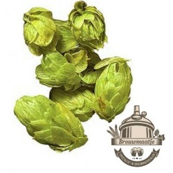 Amarillo hopbloem 8,3%"21...