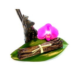 Vanille stokjes 3st.