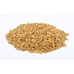 Rookmout Weyermann 4-8 EBC...