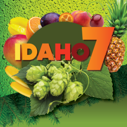 Idaho 7 pellet 12.8% Alpha...