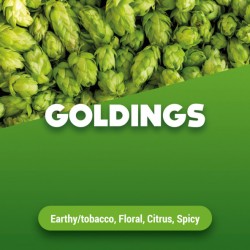 Goldings bloem 6.5 % Alpha...