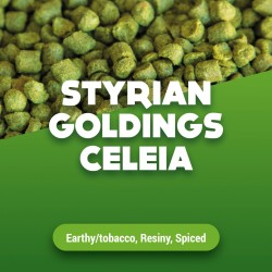Styrian Golding Celeia...
