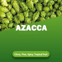 Azacca bloem 11,5% crop 21...