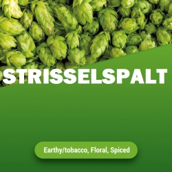 Strisselspalt bloem '21 -...