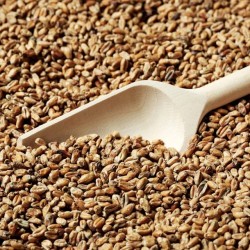 Tarwe Donker Cara GS....