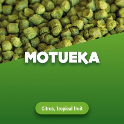 Motueka korrel 9.9% Alpha...