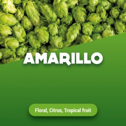 Amarillo hopbloem 9.6%"...