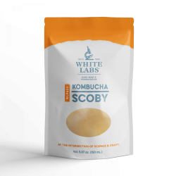 Kombucha Scoby WLP 600HB
